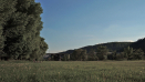 Branická louka